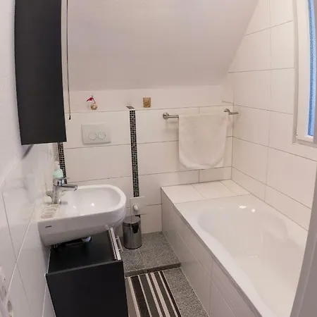 Mit Blick Auf Lichtentaler Allee