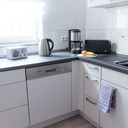 Mit Blick Auf Lichtentaler Allee *