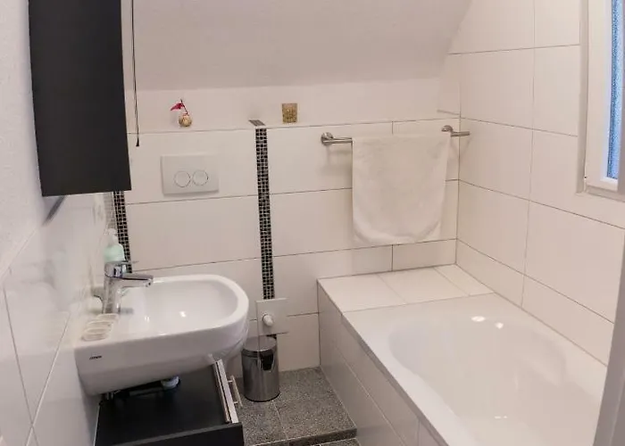 Mit Blick Auf Lichtentaler Allee