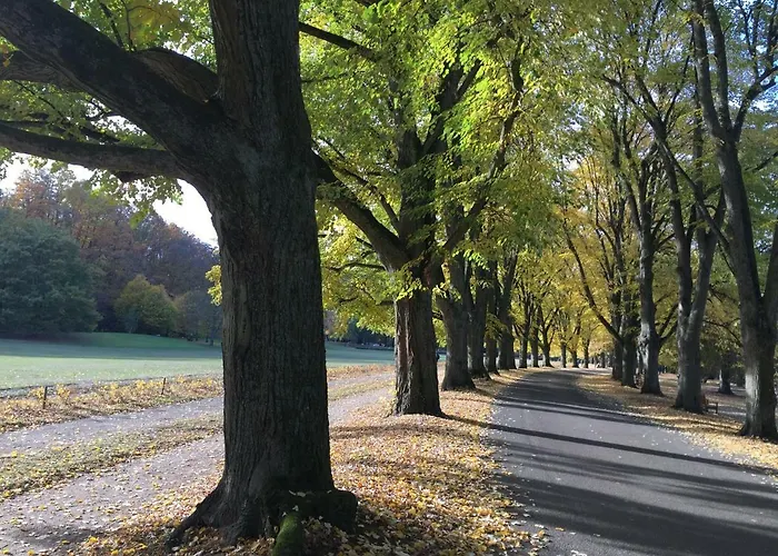Mit Blick Auf Lichtentaler Allee Baden-Baden