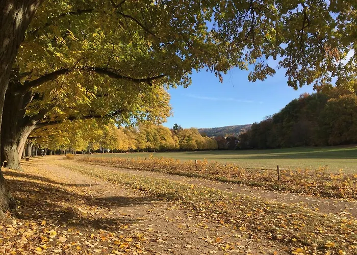 Appartement Mit Blick Auf Lichtentaler Allee *